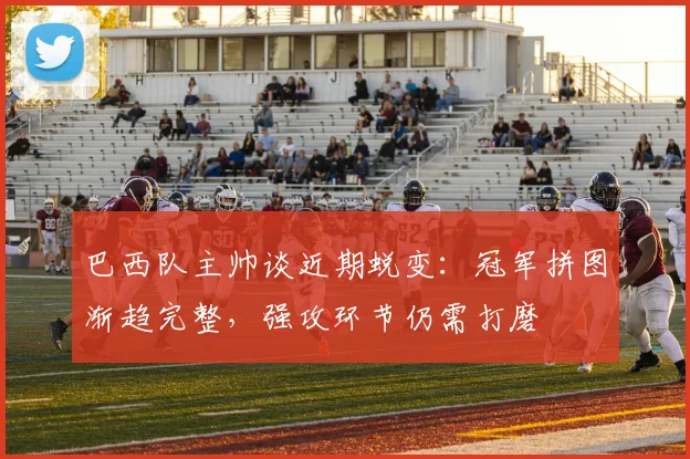 巴西队主帅谈近期蜕变:冠军拼图渐趋完整,强攻环节仍需打磨