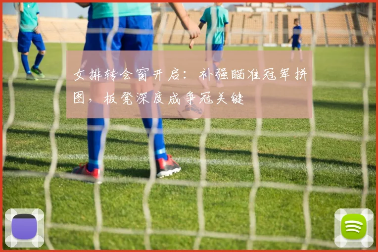 女排转会窗开启：补强瞄准冠军拼图，板凳深度成争冠关键